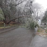 Somerset Communities ico