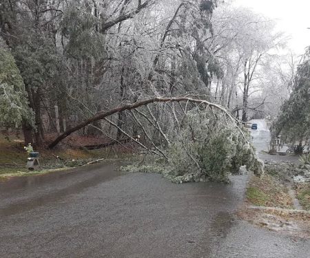 Somerset Communities