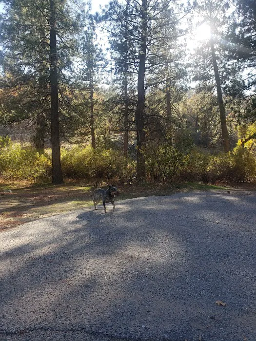 Miller Canyon Group Sites Picture 9