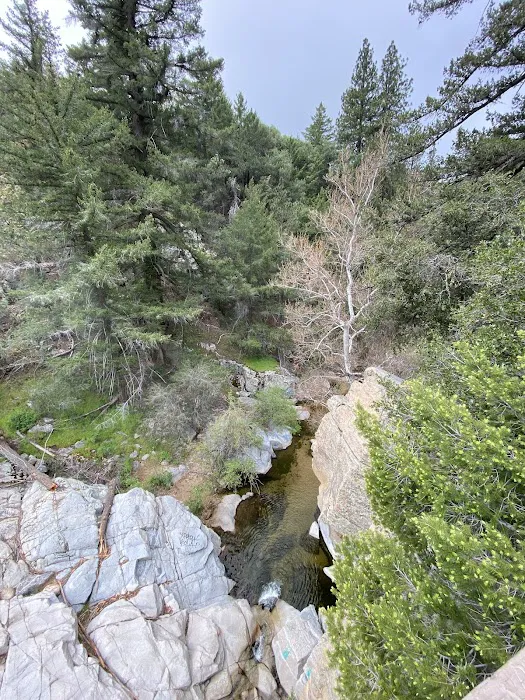 Miller Canyon Group Sites Picture 7