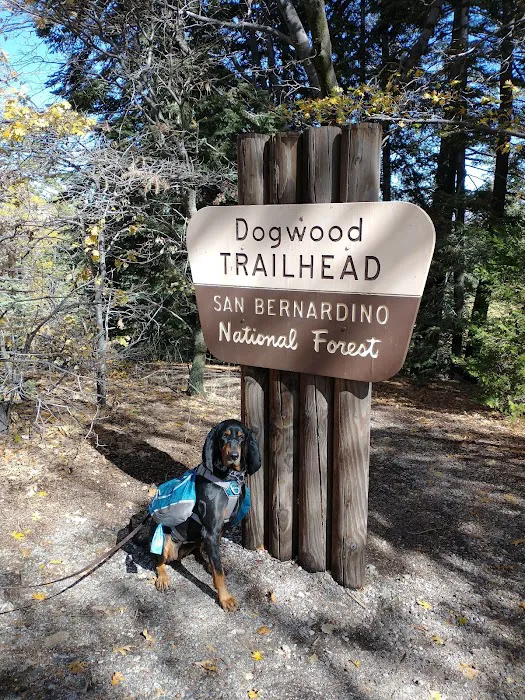 Dogwood Family Campground Picture 4