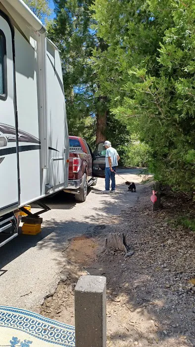 Dogwood Family Campground Picture 6
