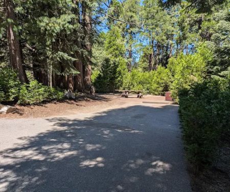 Dogwood Family Campground