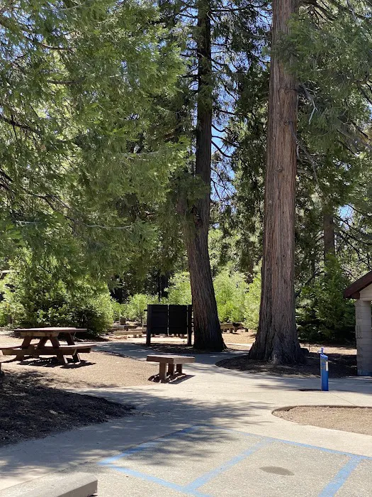 Dogwood Family Campground Picture 2