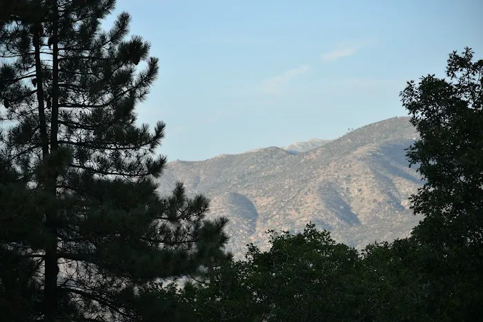 North Shore Campground Picture 8