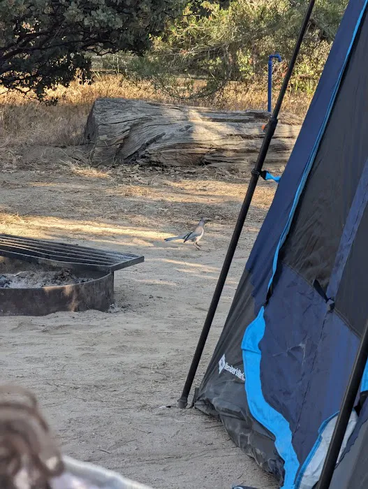 North Shore Campground Picture 7