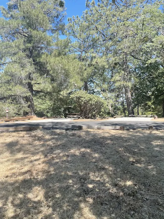 North Shore Campground Picture 3