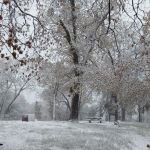 North Shore Campground