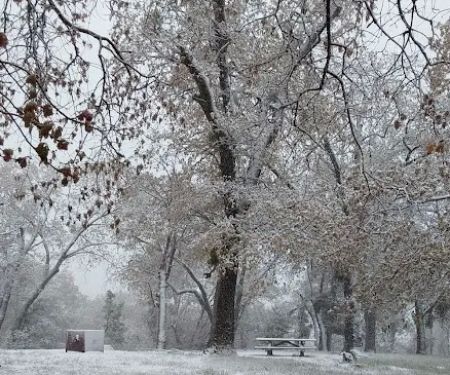North Shore Campground