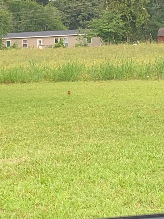 Willetts Mobile Home Park Picture 3