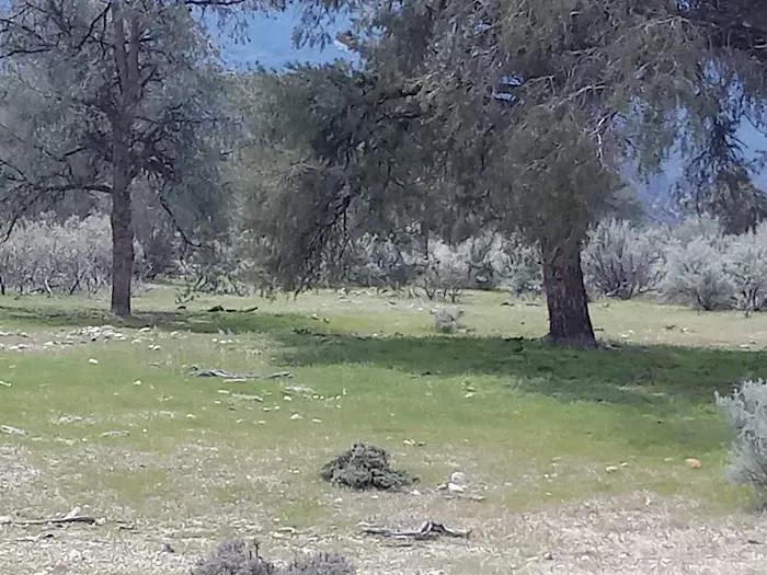 Dome Spring Campground Picture 7