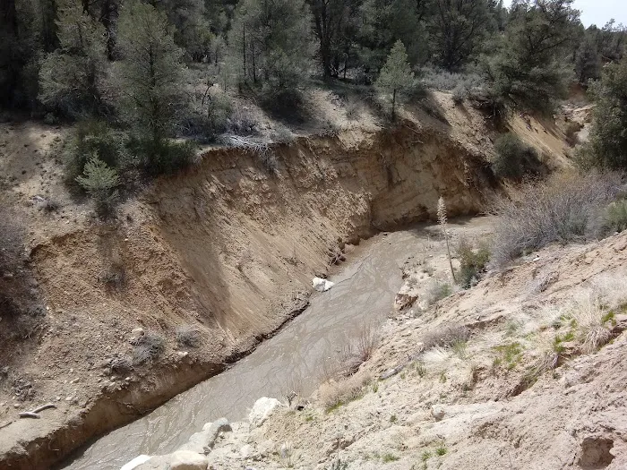 Dome Spring Campground Picture 5