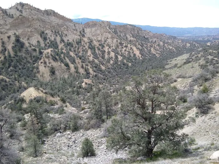 Dome Spring Campground Picture 3