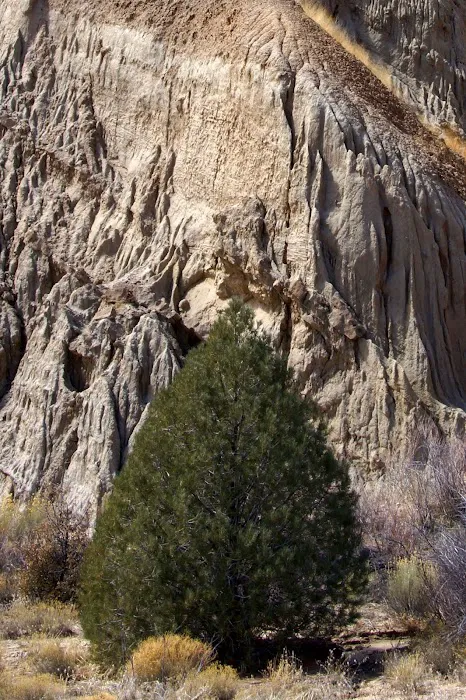 Dome Spring Campground Picture 2
