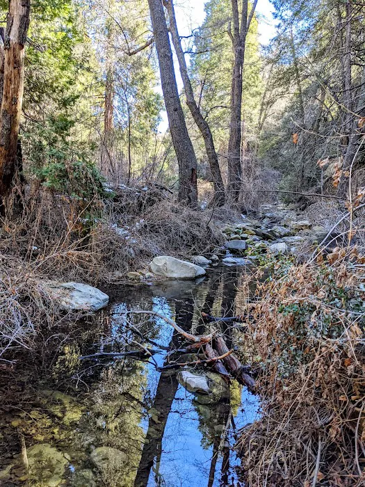 Beartrap Trail Camp Picture 1
