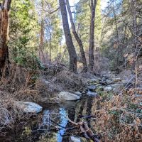 Beartrap Trail Camp ico