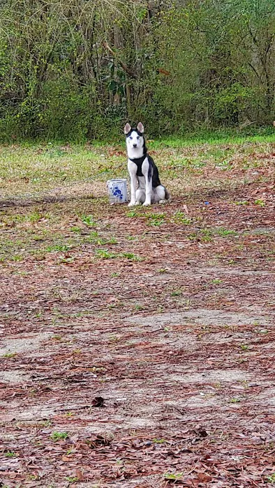 Azalea Mobile Home Court Picture 3