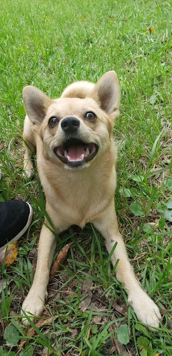 Azalea Mobile Home Court Picture 2