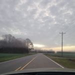 Azalea Mobile Home Court