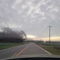 Azalea Mobile Home Court ico