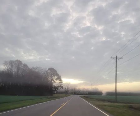 Azalea Mobile Home Court