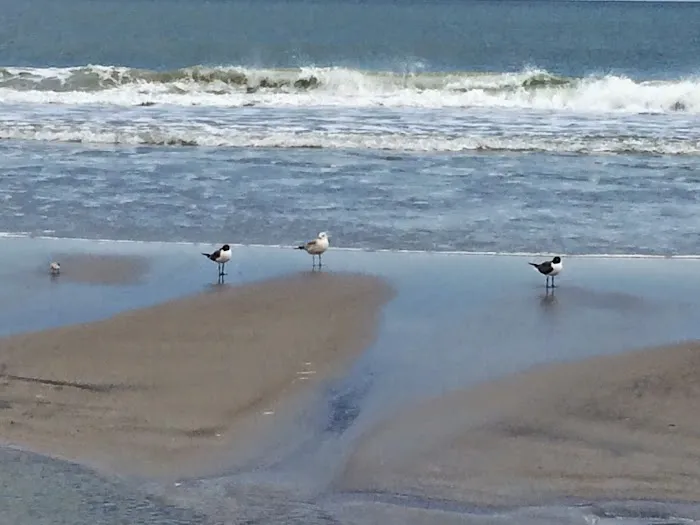 Winner's RV Park Picture 7