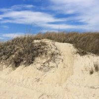 Winner's RV Park ico