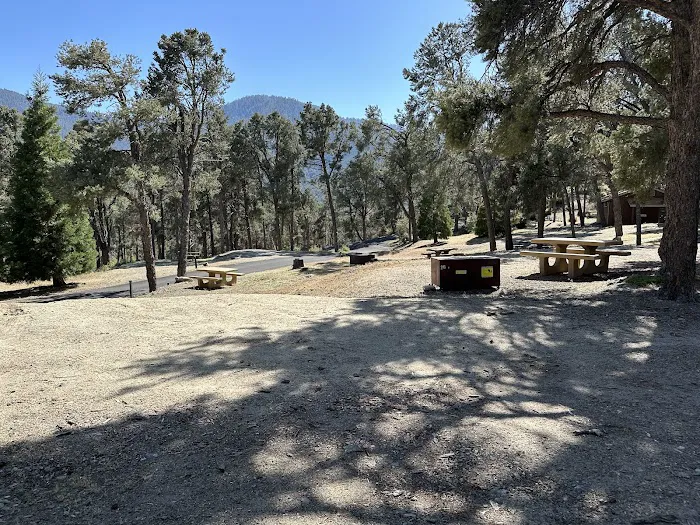 Pine Mountain Club Campground Picture 2