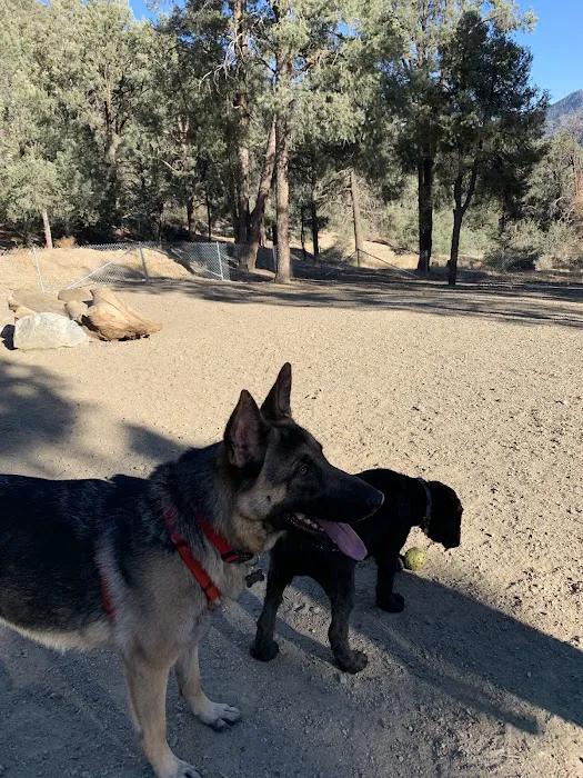 Pine Mountain Club Campground Picture 6