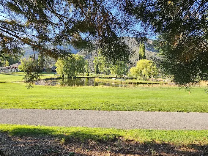 Pine Mountain Club Campground Picture 9