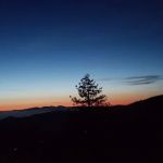 Campo Alto Campground