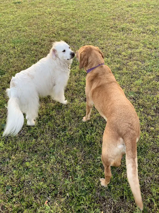 Sidbury's Mobile Home Park Picture 8