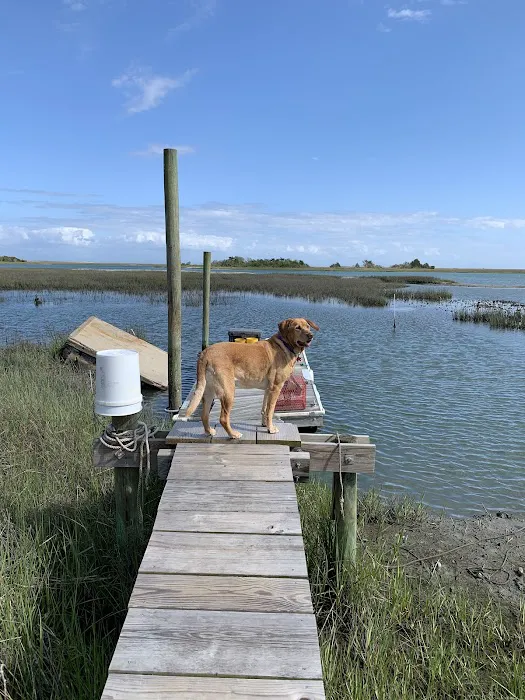 Sidbury's Mobile Home Park Picture 3