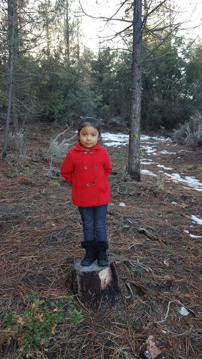 Happy Gulch Campground Picture 9