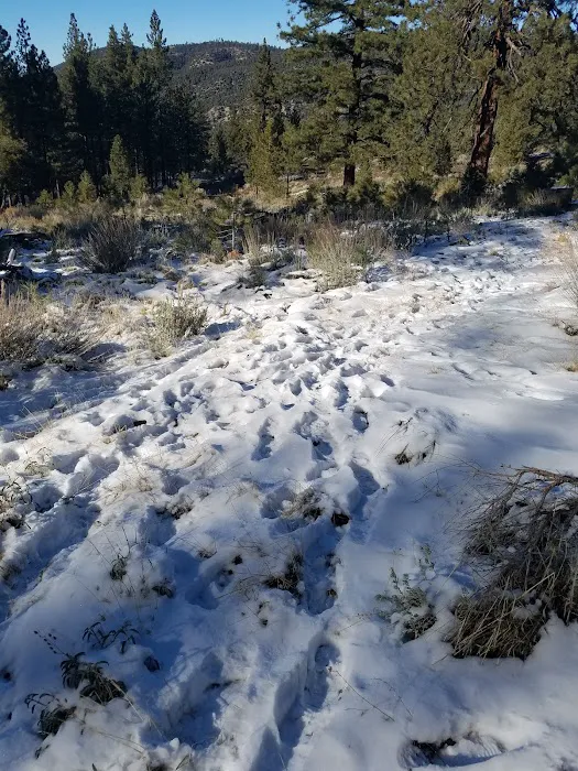 Happy Gulch Campground Picture 7