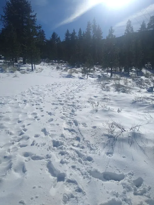 Happy Gulch Campground Picture 4