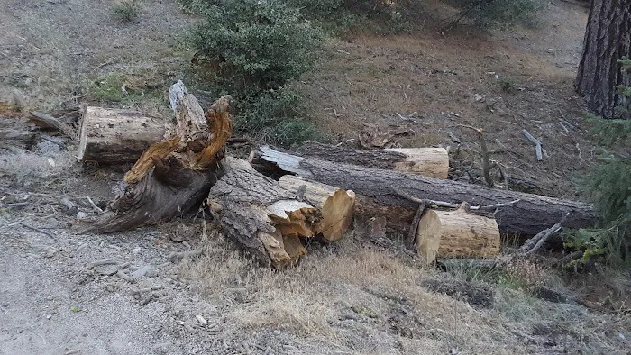 Marian Campground Picture 3