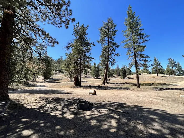 Marian Campground Picture 4