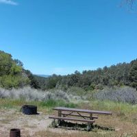 Toad Springs Campground ico