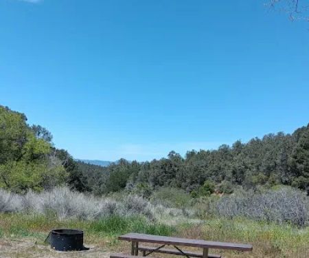 Toad Springs Campground
