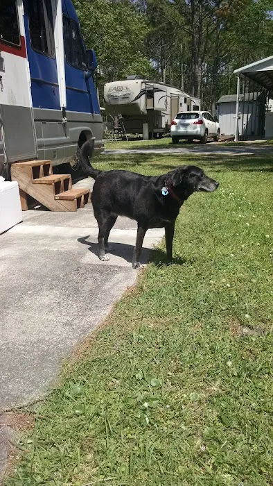 Woodside RV & Trailer Park Picture 7