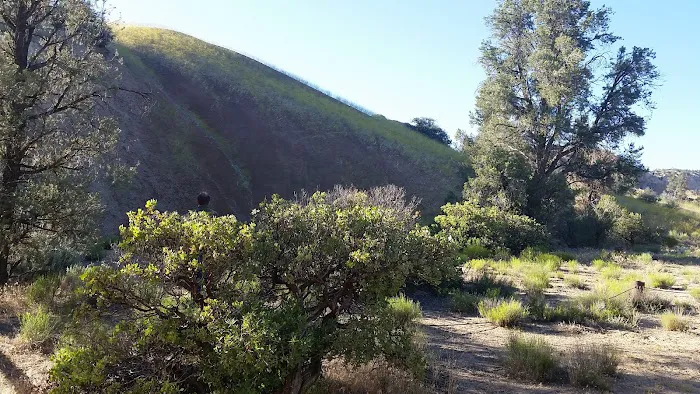 Nettle Springs Campground Picture 2