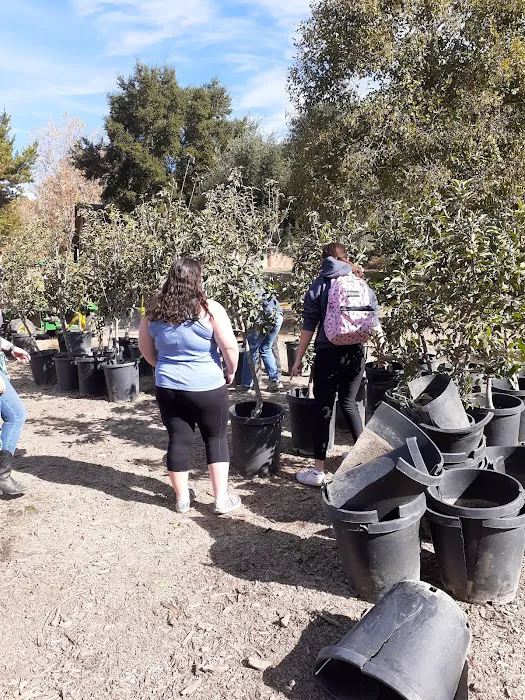 Camp Arnaz Program Center - Girl Scouts of California's Central Coast Picture 6