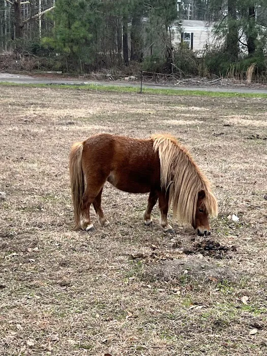 Double L Farms RV Park, LLC Picture 8