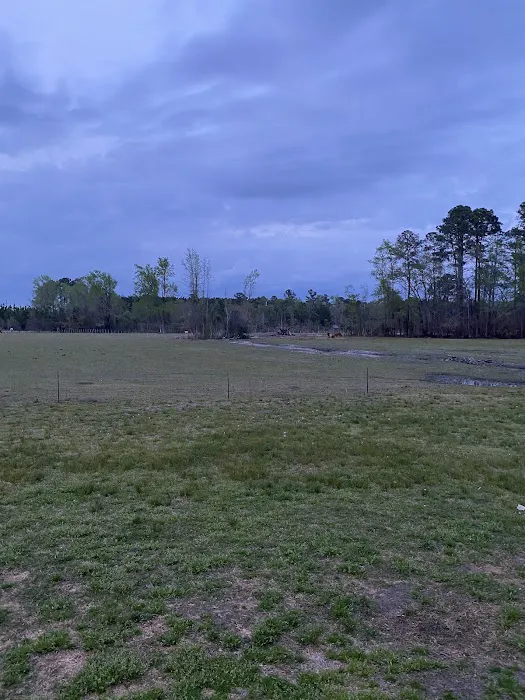 Double L Farms RV Park, LLC Picture 1