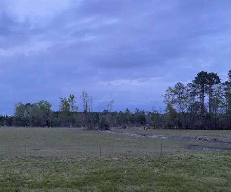 Double L Farms RV Park, LLC