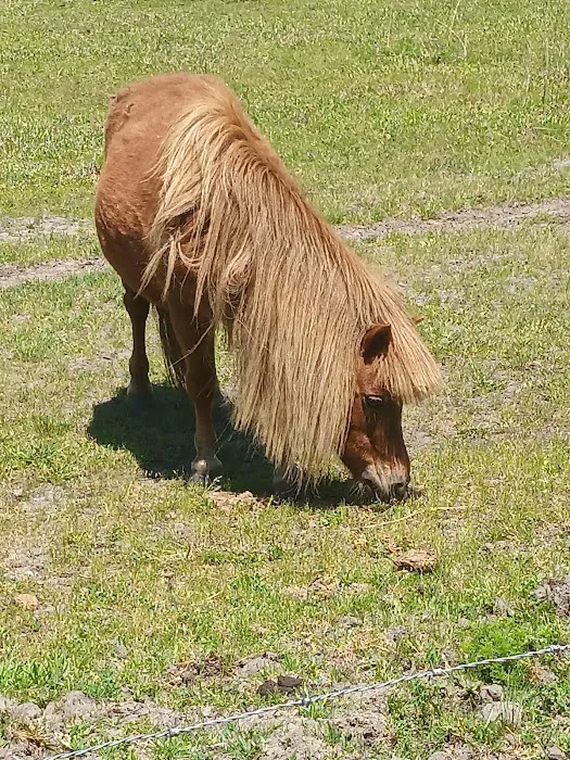 Double L Farms RV Park, LLC Picture 7