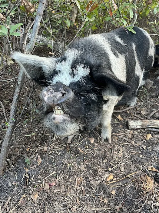 Double L Farms RV Park, LLC Picture 2