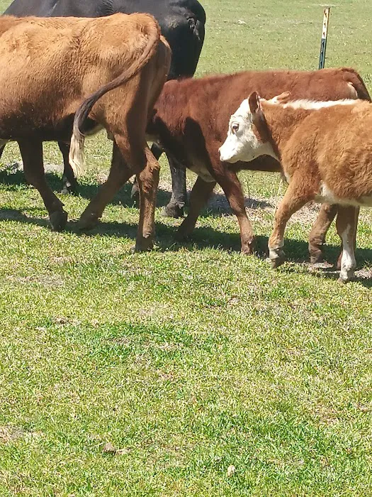 Double L Farms RV Park, LLC Picture 3