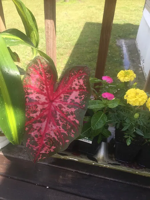 Laiken Estates Picture 1